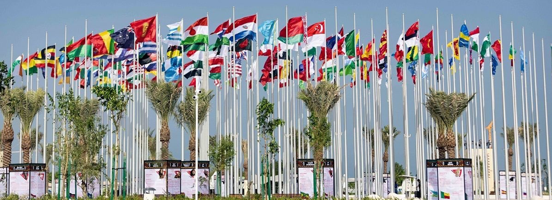 Festival dos Dias  Comunitários Flag Plaza